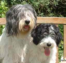 Rokitna & Barouche