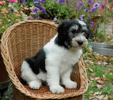 Nariza 8&frac12; week