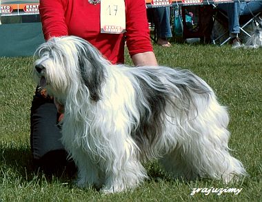 Rozalja @ Clubhappening NCB '06