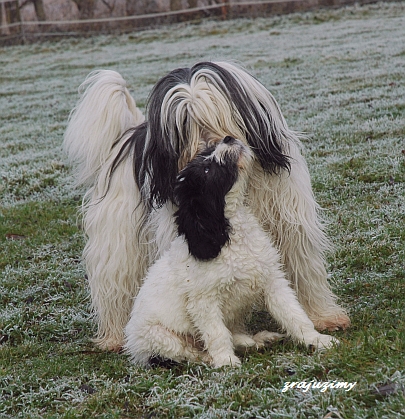 Rozalja & Hymn