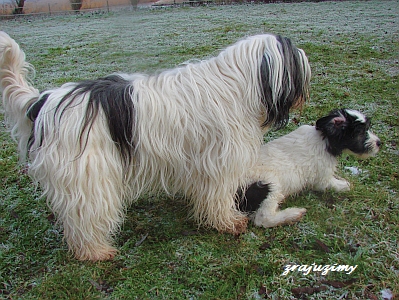 Rozalja met Hymn