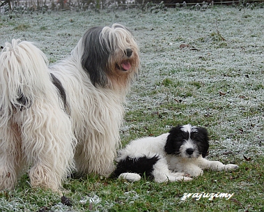 Rozalja met Hymn