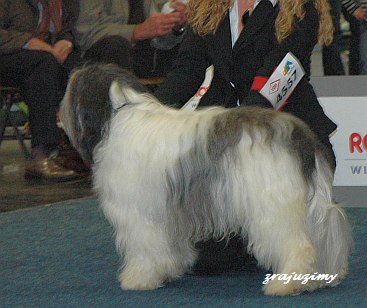 Zofia @ Dortmund '08