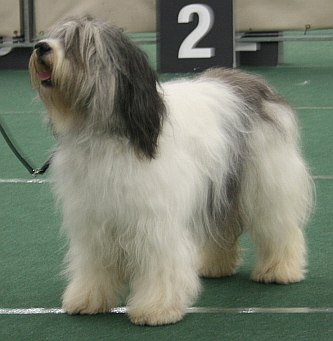 Zofia @ Rotterdam '08