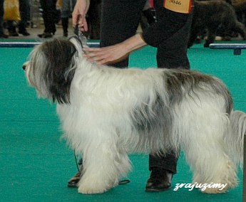 Zofia @ Winner '08